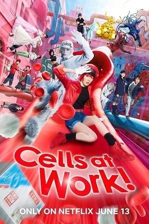 Download Cells at Work! (2024) WEB-DL {English With Subtitles} Full Movie 480p [330MB] | 720p [900MB] | 1080p [2.1GB]