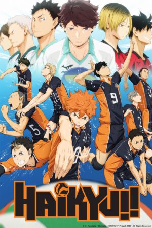 Download Haikyu!! (Season 1 – 3) Multi Audio {Hindi-English-Japanese} Series 480p 720p & 1080p WEB-DL