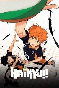 Download Haikyu!! (Season 1 &#8211; 4) Multi Audio {Hindi-English-Japanese} Series 480p 720p &amp; 1080p WEB-DL poster