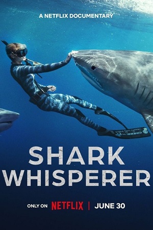 Download Shark Whisperer (2025) WEB-DL NF Dual Audio {Hindi-English} 480p [250MB] | 720p [970MB] | 1080p [1.9GB]