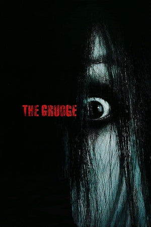 Download The Grudge (2004) Extended BluRay Dual Audio {Hindi-English} 480p [330MB] | 720p [1.2GB] | 1080p [2.2GB]