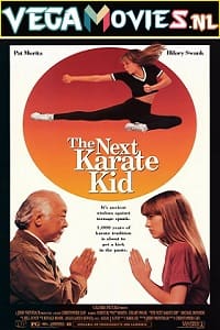 Download The Next Karate Kid (1994) Dual Audio {Hindi-English} 480p [400MB] | 720p [1GB] | 1080p [3.7GB]