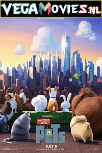 Download The Secret Life of Pets (2016) Dual Audio {Hindi-English} BluRay 480p [350MB] | 720p [850MB] | 1080p [3.2GB]