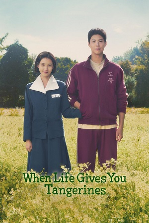 Download When Life Gives You Tangerines (2025) Season 1 Multi Audio {Hindi-English-Korean} NetFlix Series 480p | 720p | 1080p WEB-DL