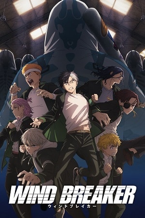 Download WIND BREAKER (Season 1- 2) Anime Series Complete Multi Audio {Hindi-English-Japanese} 720p | 1080p WEB-DL