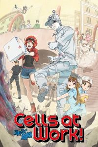 Download Cells at Work! (Season 1) Multi Audio {Hindi-English-Japanese} Anime Series 480p 720p & 1080p Blu-Ray