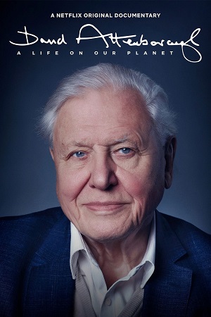 Download David Attenborough: A Life on Our Planet (2020) WEB-DL {English With Subtitles} Full Movie 480p [420MB] | 720p [800MB] | 1080p [1.2GB]