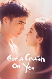 Download Got a Crush on You (Season 1) Hindi ORG Dubbed Series 480p 720p & 1080p WEB-DL