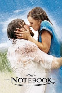 Download The Notebook (2004) Dual Audio {Hindi-English} BluRay 480p [370MB] | 720p [1.2GB] | 1080p [2.6GB]